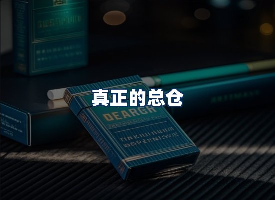 专业团队办公环境